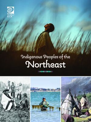 cover image of Indigenous Peoples of the Northeast
